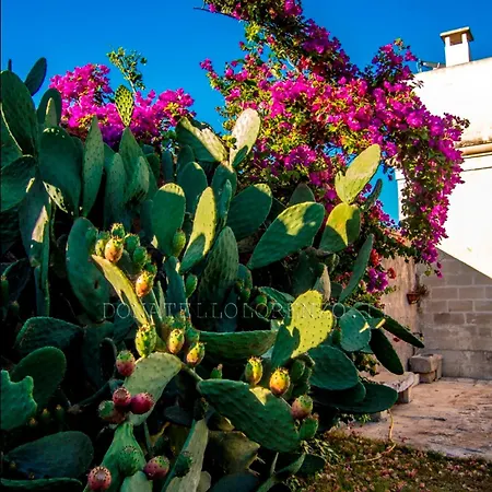 Apartment Bright Apartment In Minervino Di Lecce With Shared Pool