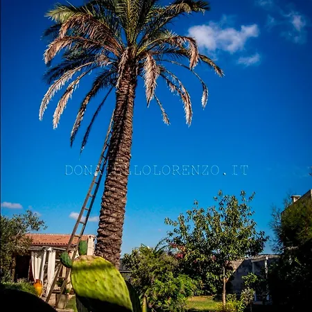 Bright Apartment In Minervino Di Lecce With Shared Pool Apartment Minervino di Lecce