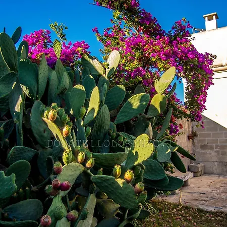 Apartment Bright Apartment In Minervino Di Lecce With Shared Pool